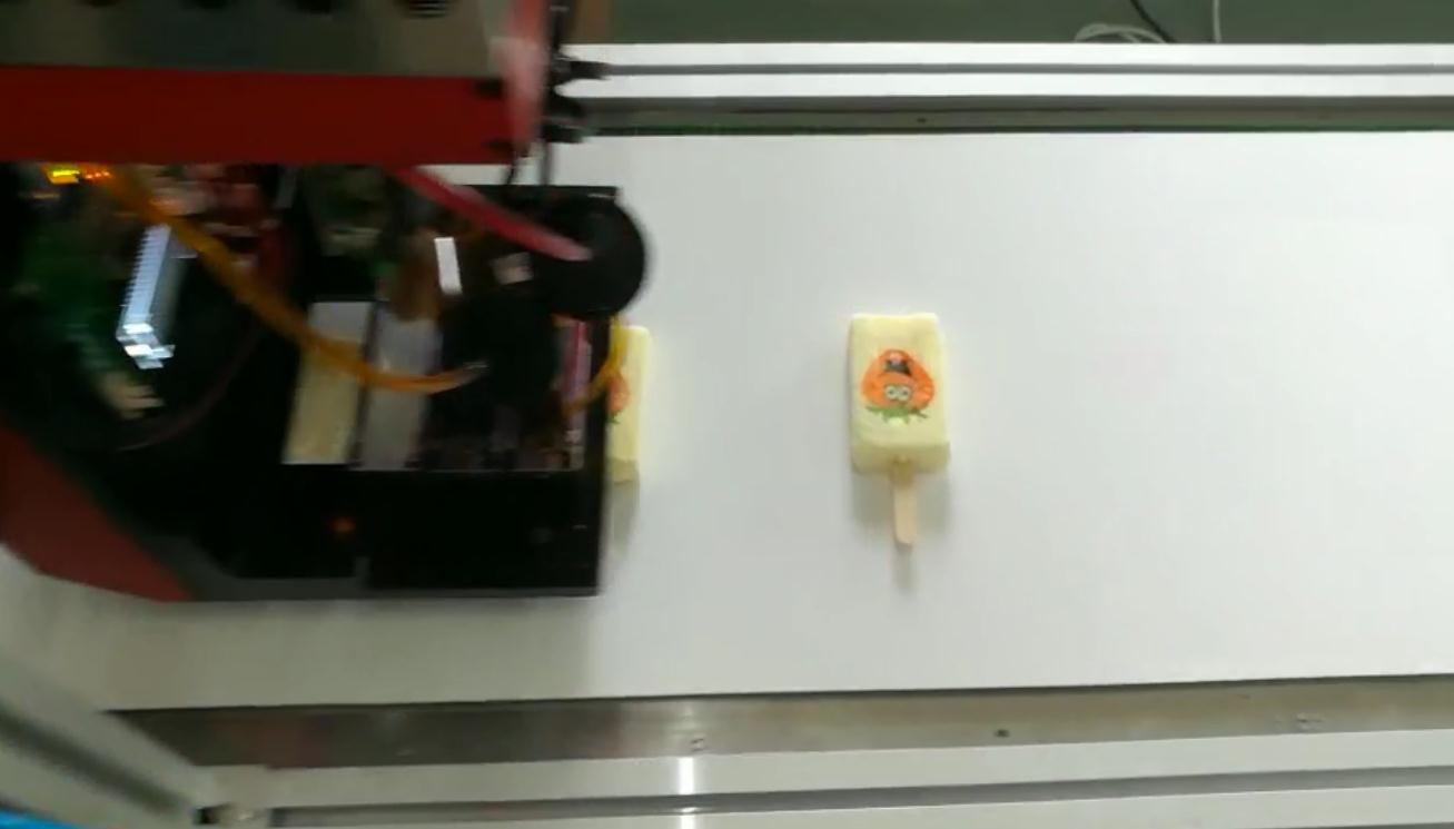 Impresora de alimentos en línea-Sinojoinsun-impresión con tinta comestible